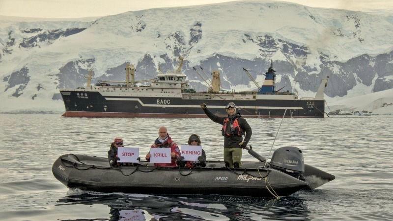 Foto con pancarte. STOP KRILL FISHING